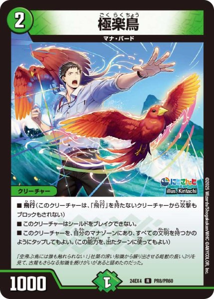 画像1: 《極楽鳥》ホイル（48/100）（PR8/PR60） (1)