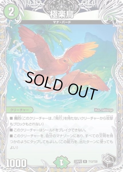 画像1: 極楽鳥【R】{22RP2T12/T20}《自然》 (1)