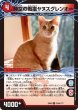 画像1: 時空の戦猫シンカイヤヌス/時空の戦猫ヤヌスグレンオー【U】{EX08224b/???/224a/???}《超次元》 (1)