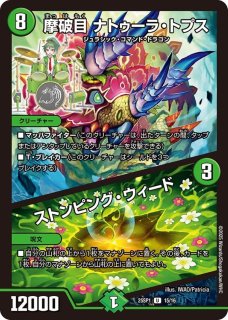 【現金特価】 摩破目ナトゥーラ・トプス/ストンピング・ウィード【U】{25SP115 デュエルマスターズ