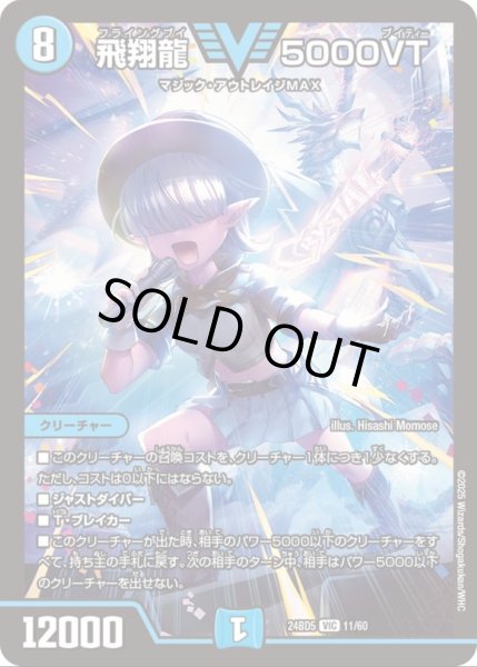 画像1: 飛翔龍5000VT【VIC】{24BD511/60}《水》 (1)