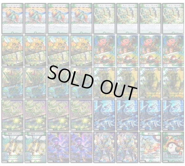 画像1: 青緑キャベツデッキ (1)