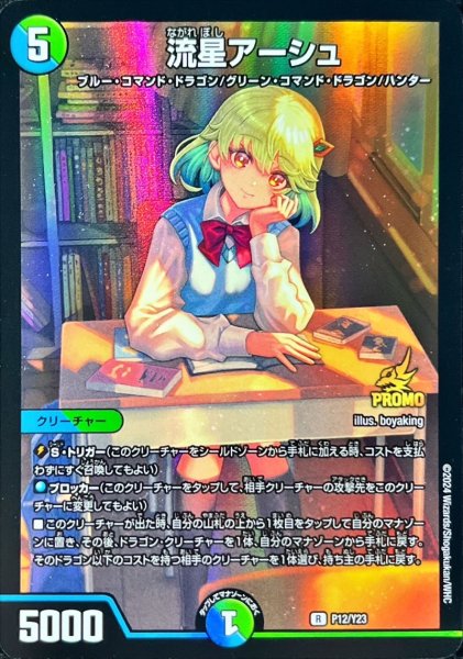 画像1: 《流星アーシュ》(P12/Y23) (1)