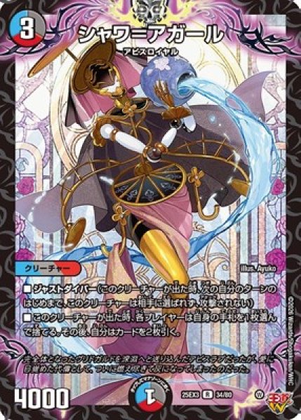 画像1: 《シャワ＝アガール》（34/80） (1)