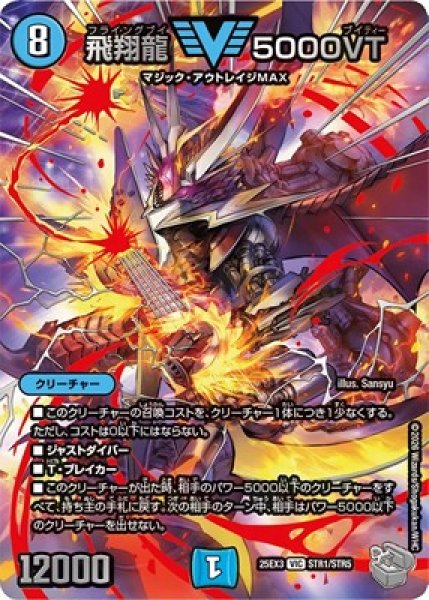 画像1: 《飛翔龍 5000VT》（STR1/STR5） (1)
