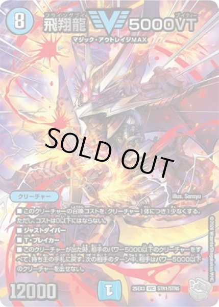 画像1: 《飛翔龍 5000VT》（STR1/STR5） (1)