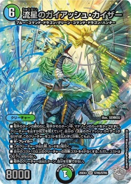 画像1: 《流星のガイアッシュ・カイザー》（STR5/STR5） (1)