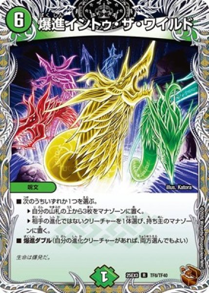 画像1: 《爆進イントゥ・ザ・ワイルド》（TF8/TF40） (1)