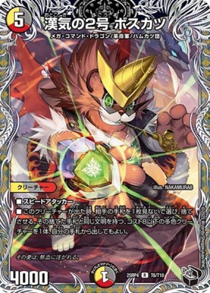 画像1: 《漢気の2号 ボスカツ》（T6/T10） (1)