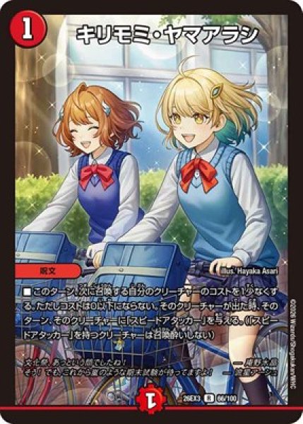 画像1: 《キリモミ・ヤマアラシ》（66/100） (1)
