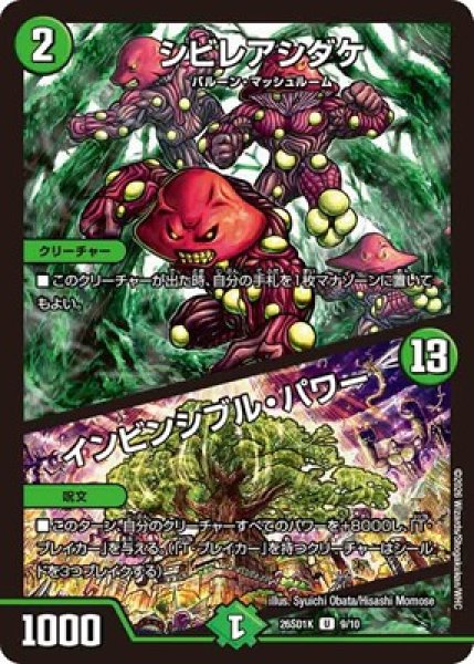 画像1: 《シビレアシダケ／インビンシブル・パワー》(9/10) (1)