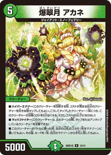 画像1: 《爆翠月 アカネ》(10/14) (1)