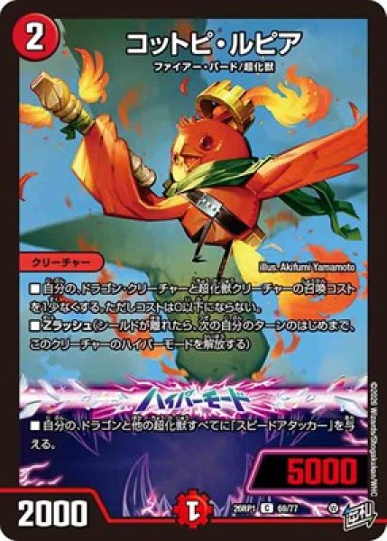 画像1: 《コットピ・ルピア》（69/77） (1)