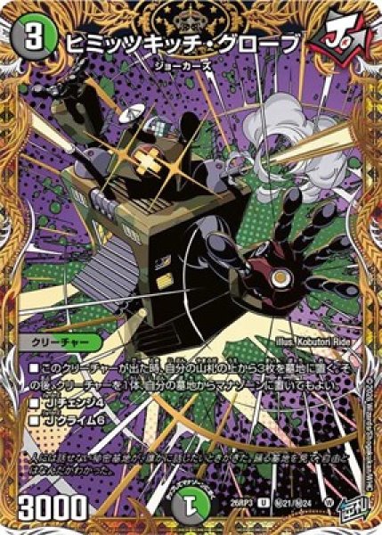 画像1: 《ヒミッツキッチ・グローブ》（秘21/秘24） (1)