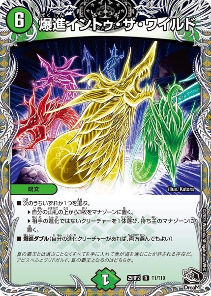 画像1: 《爆進イントゥ・ザ・ワイルド》（T1/T10） (1)