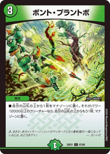 画像1: 《ボント・プラントボ》（87/89） (1)