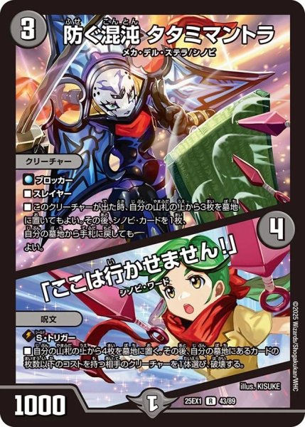 画像1: 《防ぐ混沌 タタミマントラ／「ここは行かせません！」》（43/89） (1)