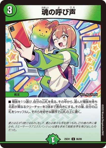 画像1: 《魂の呼び声》（66/89） (1)